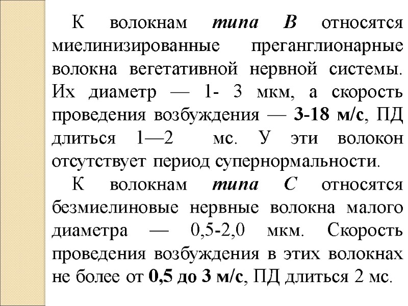 К волокнам типа В относятся миелинизированные преганглионарные волокна вегетативной нервной системы. Их диаметр —